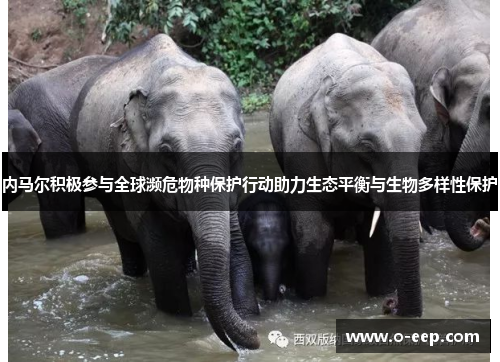 内马尔积极参与全球濒危物种保护行动助力生态平衡与生物多样性保护