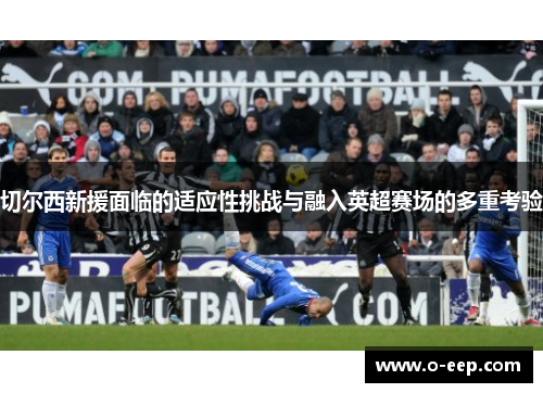 切尔西新援面临的适应性挑战与融入英超赛场的多重考验