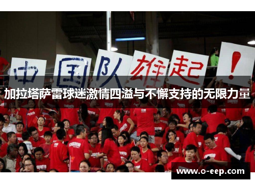 加拉塔萨雷球迷激情四溢与不懈支持的无限力量