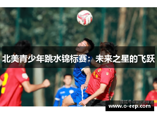 北美青少年跳水锦标赛：未来之星的飞跃
