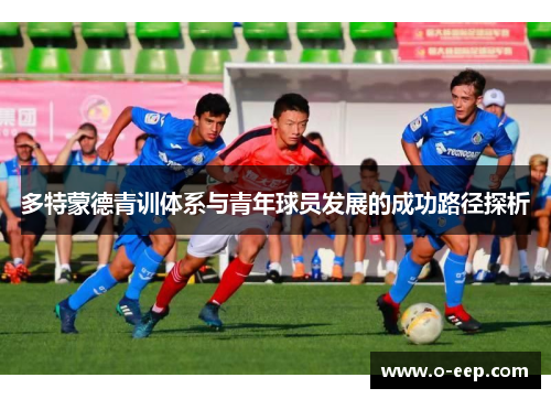 多特蒙德青训体系与青年球员发展的成功路径探析