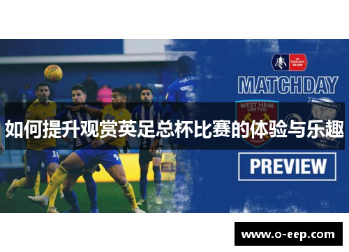 如何提升观赏英足总杯比赛的体验与乐趣