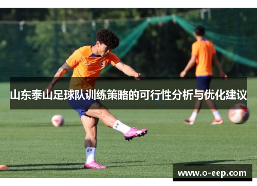 山东泰山足球队训练策略的可行性分析与优化建议